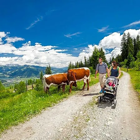 Apartmenthaus Gotthardt 3* Kaprun