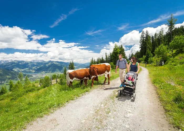 公寓式酒店 歌特哈德公寓式酒店