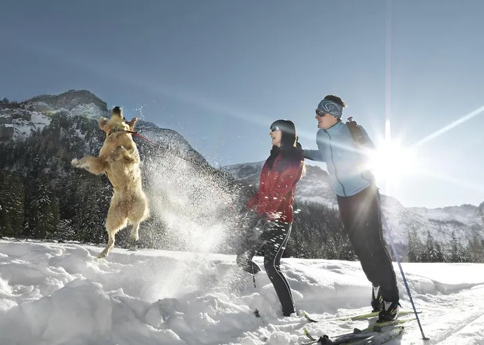 歌特哈德公寓式酒店 公寓式酒店 3*